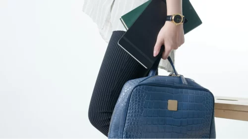 Colorful Handbag Options